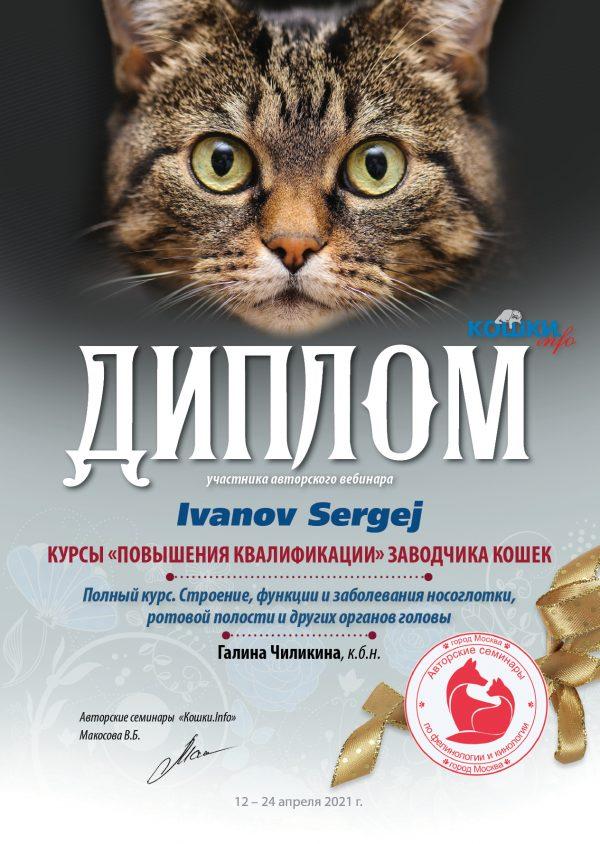 04 1 2 24 21 84 кошки 9 Ivanov Sergej