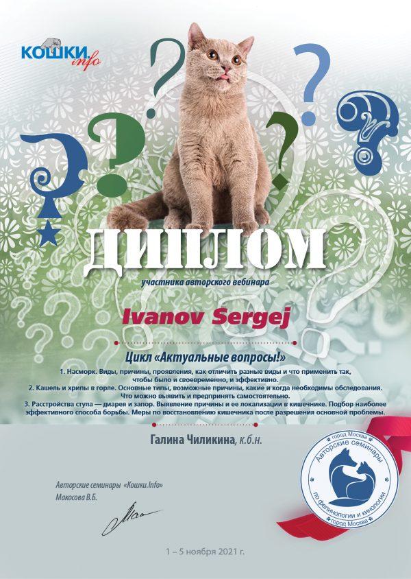 1 0 1 05 21 112 кошки 16 Ivanov Sergej