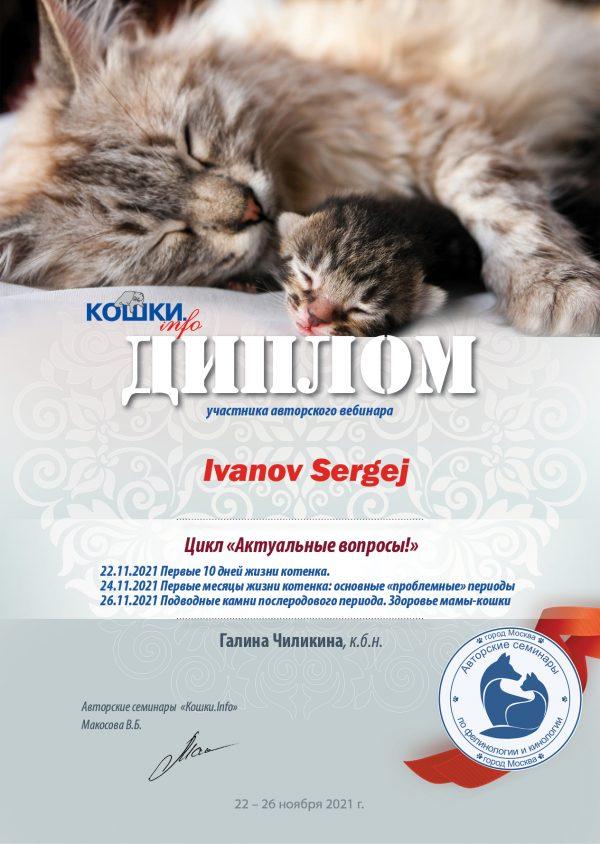11 2 2 26 21 116 кошки 60 Ivanov Sergej