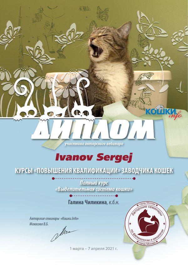 Вебинар 03 04 01 07 21 81 3 Ivanov Sergej