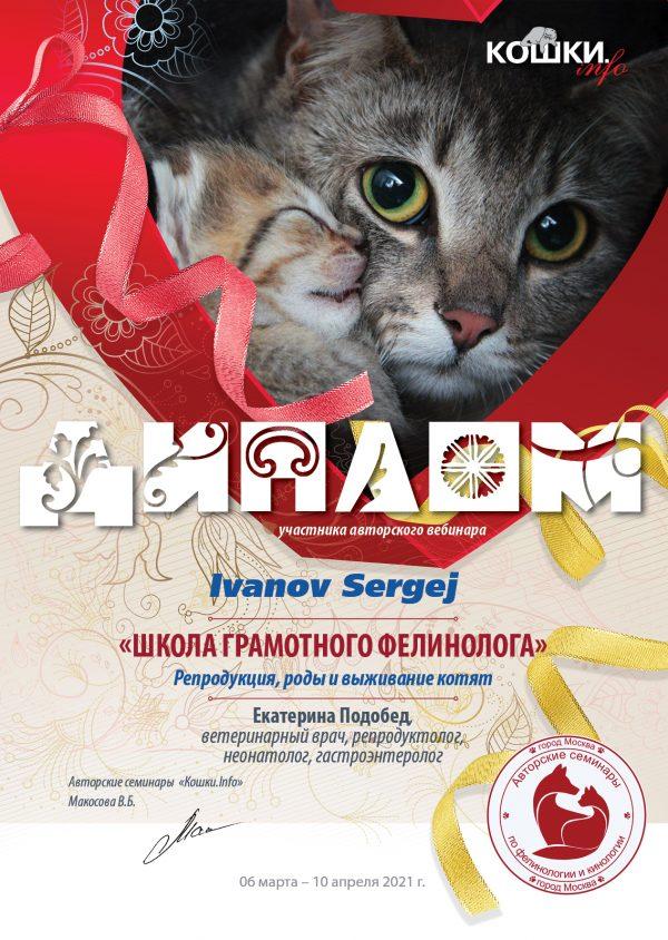 Вебинар 03 04 06 10 21 80 кошки 6 Ivanov Sergej