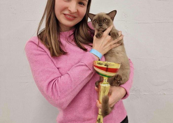 burmanska mačka